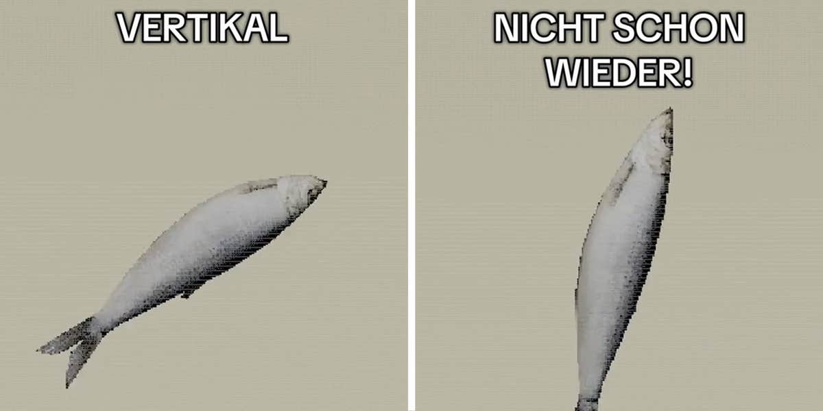 What is the Vertikal Rotierender Fisch meme and why is it haunting ...