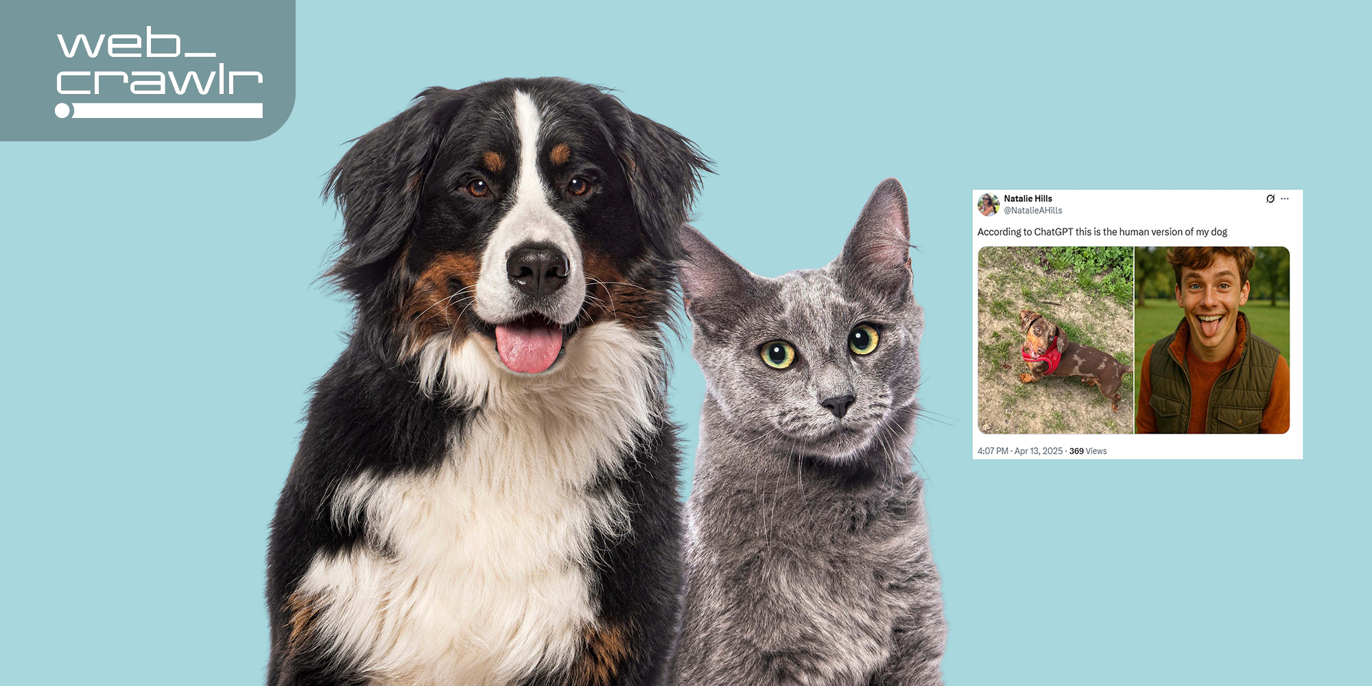 A dog, a cat, and a tweet showing how AI turned a pet into a human. The Daily Dot newsletter web_crawlr logo is in the top left corner.