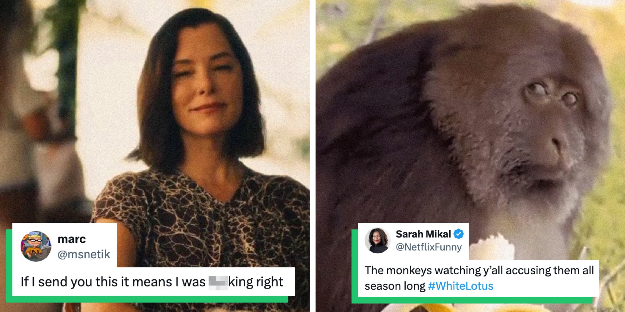 2 panel image- of memes from the show White Lotus.