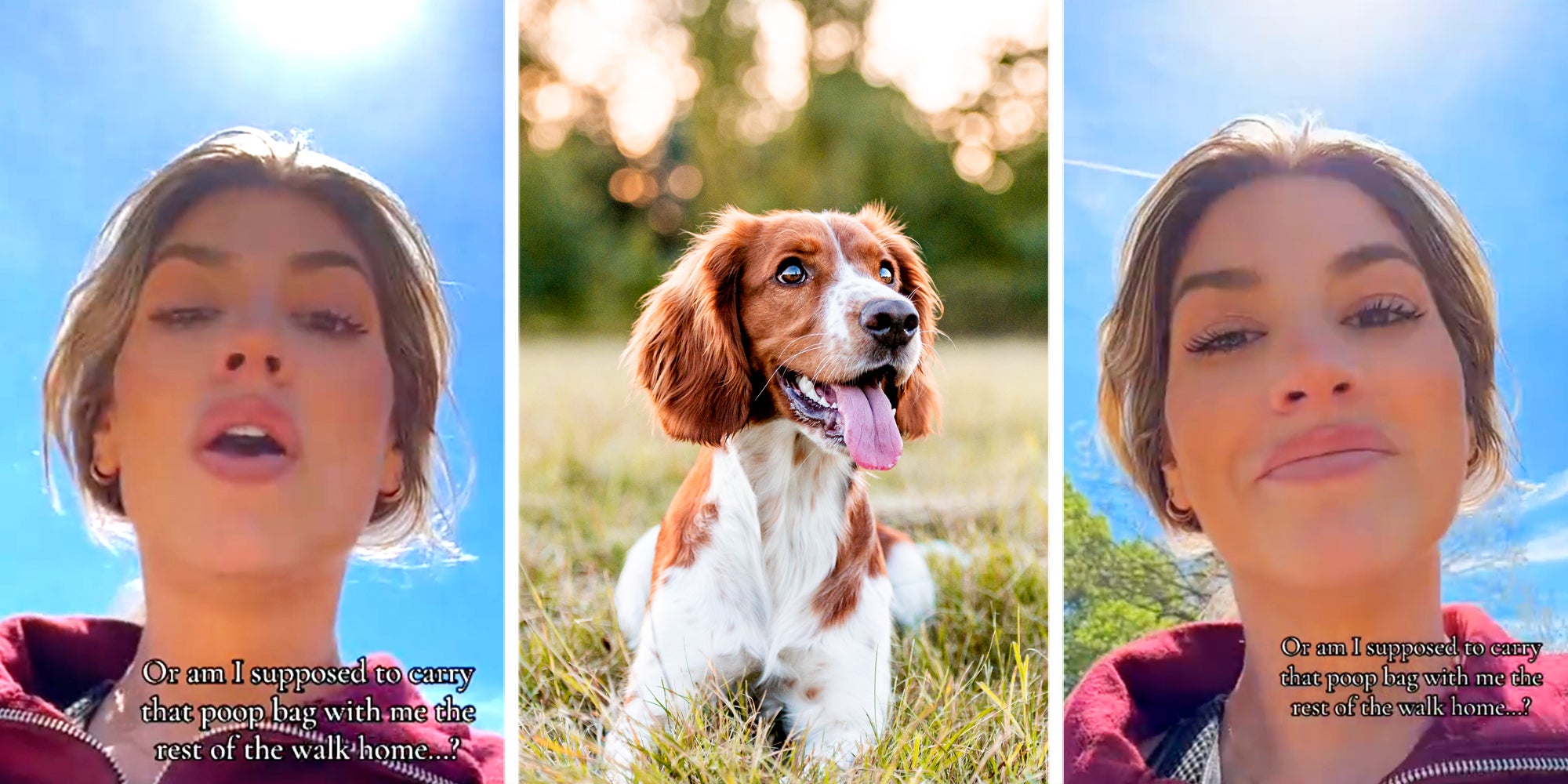 Three panel image with woman walking and talking outside on sides and dog sitting in grass in center.