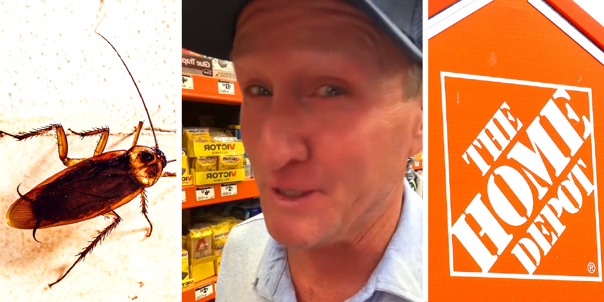 3 panel image: a roach, a person explaining, the Home Depot logo.