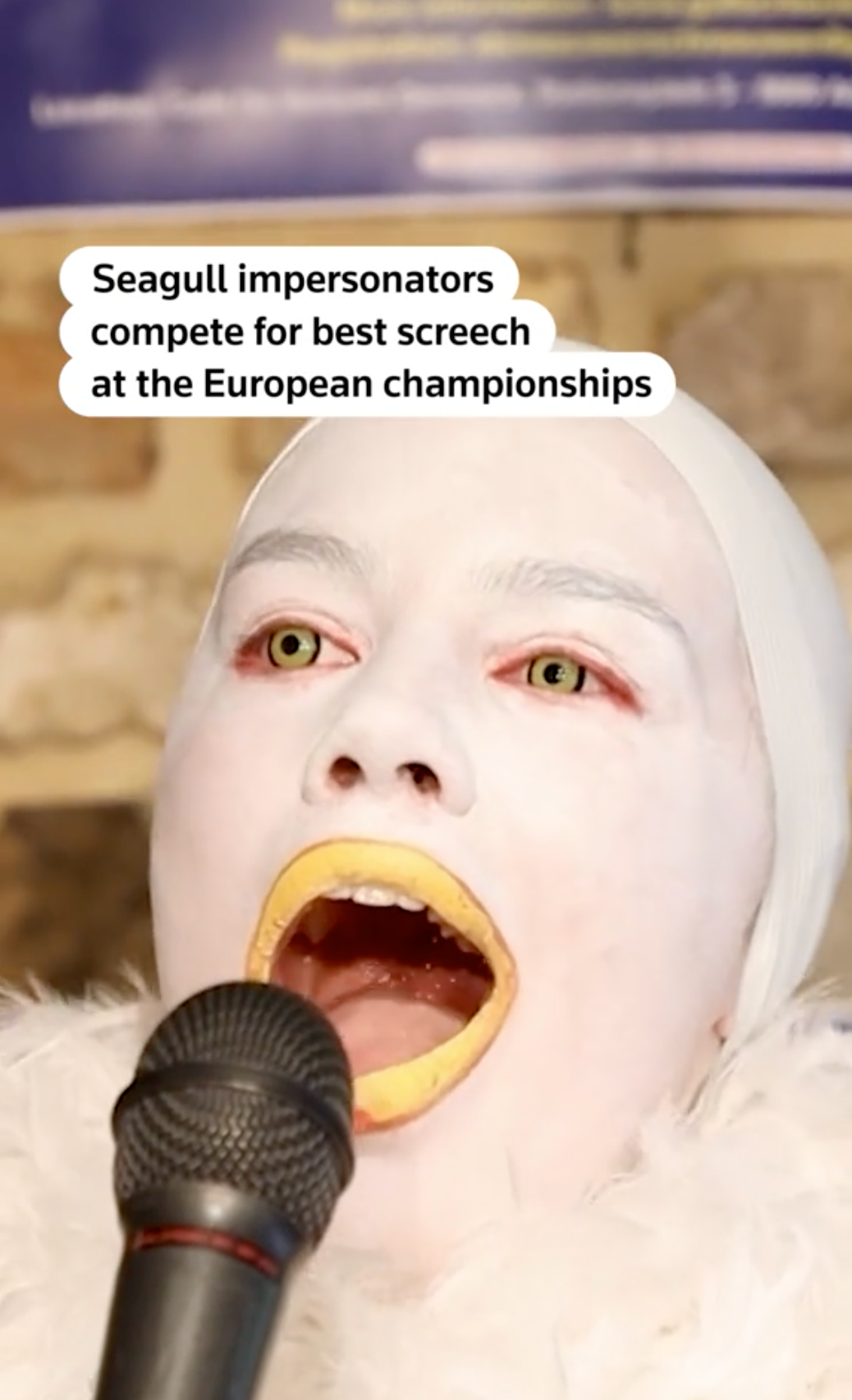 Seagull contest winner