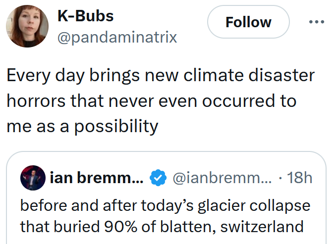 Tweet reading 'Every day brings new climate disaster horrors that never even occurred to me as a possibility'