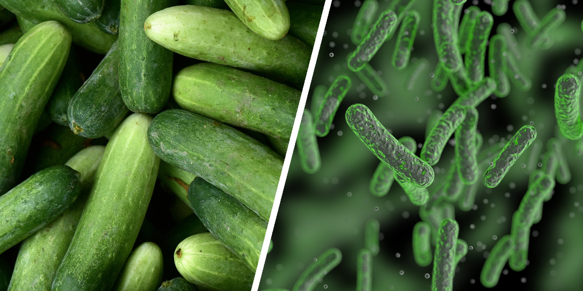 2 panel image showing cucumbers and microscopic salmonella bacterium.