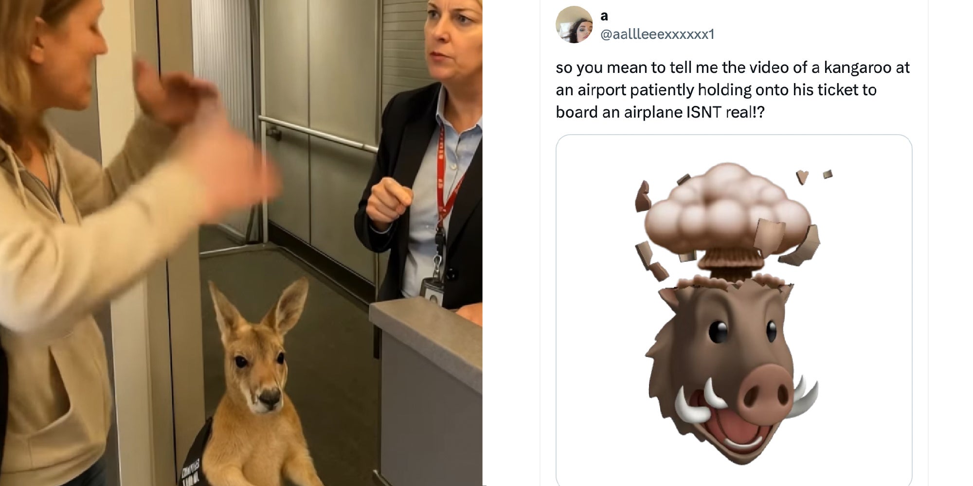 2 panel image: on the left is an A.I. generated video and on the right is a person's reaction on X which reads: so you mean to tell me the video of a kangaroo at an airport patiently holding onto his ticket to board an airplane ISNT real!?