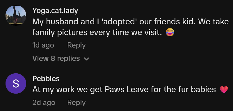 TikTok comments including one reading 'My husband and I 'adopted' our friends kid. We take family pictures every time we visit.'
