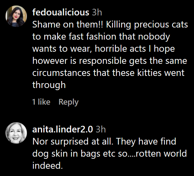 Instagram comments including one reading 'Shame on them!! Killing precious cats to make fast fashion that nobody wants to wear, horrible acts I hope however is responsible gets the same circumstances that these kitties went through.'