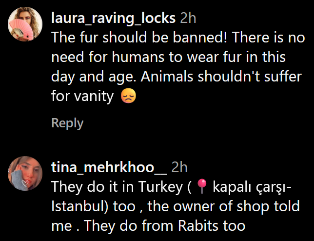 Instagram comments including one reading 'The fur should be banned! There is no need for humans to wear fur in this day and age. Animals shouldn't suffer for vanity.'