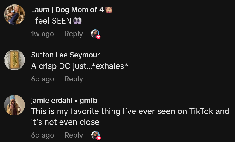Comentários de Tiktok, incluindo uma leitura 'Esta é a minha coisa favorita que eu já vi no Tiktok e nem está perto'