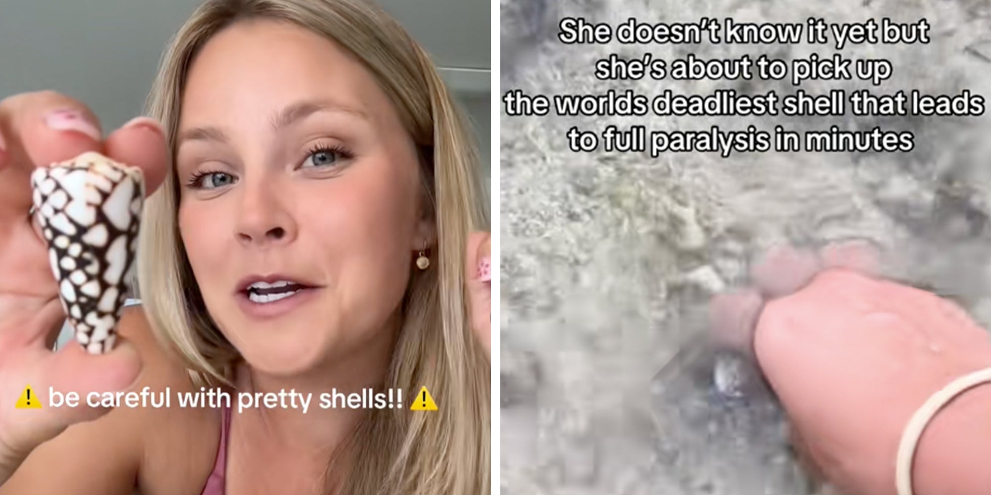 Left: Woman holding seashell under caption reading "Be careful with pretty shells" Right: Same woman picking up the deadly cone snail under caption reading: "She doesn't know it yet but she's about to pick up the world's deadliest shell that leads to full paralysis in minutes"