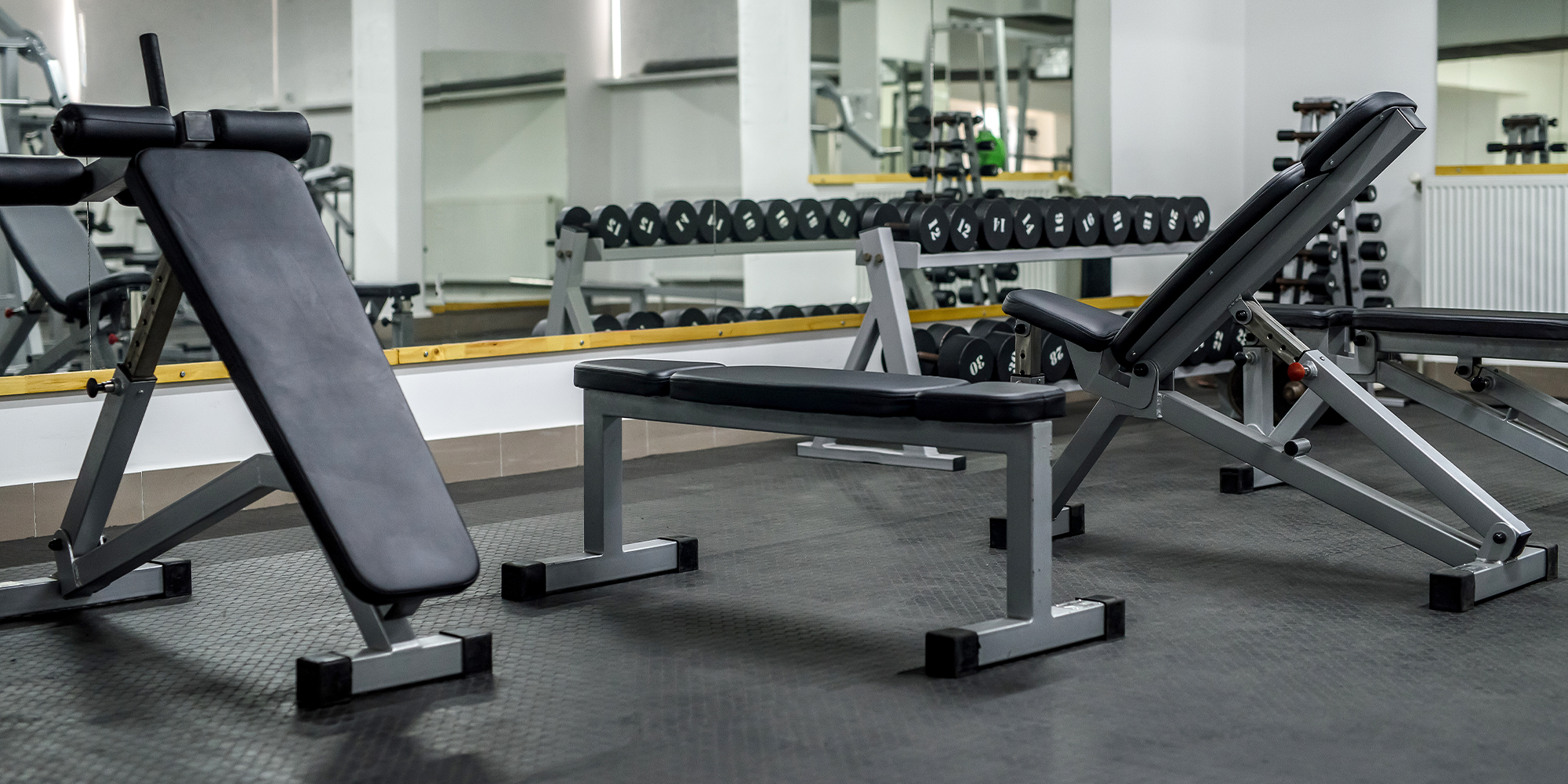 Homepage article image