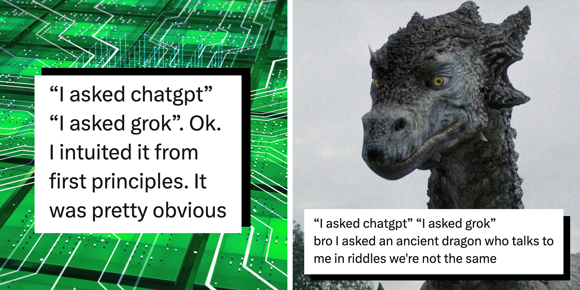 Right: Tweet reading ''I asked chatgpt' 'I asked grok' bro I asked an ancient dragon who talks to me in riddles we're not the same' over an image of a dragon from Game of Thrones. Left: A tweet reading ''I asked chatgpt' 'I asked grok'. Ok. I intuited it from first principles. It was pretty obivous.'