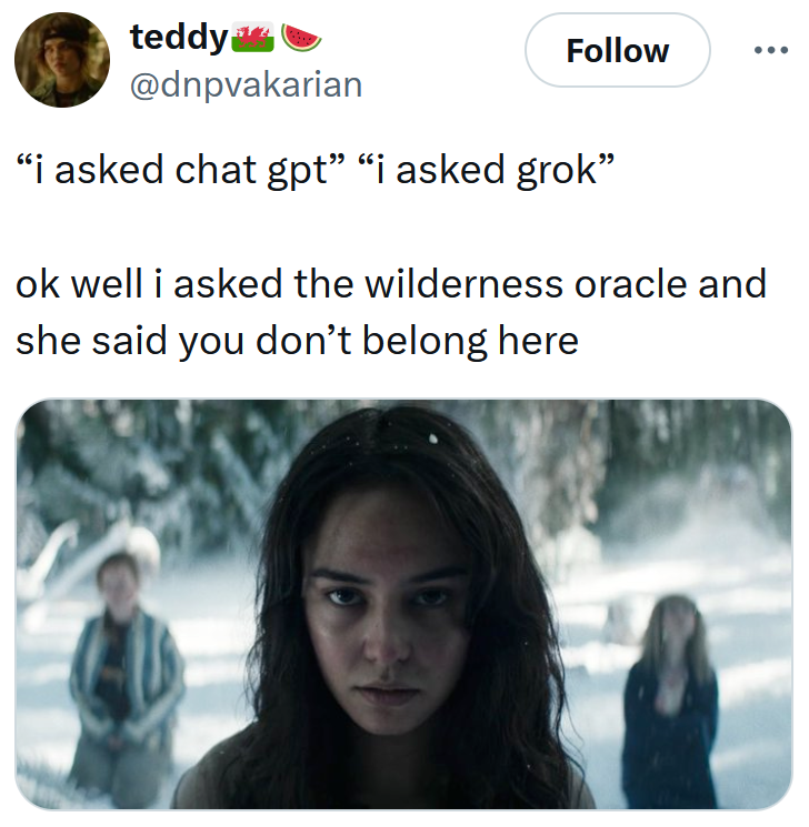 Tweet reading '“i asked chat gpt” “i asked grok” ok well i asked the wilderness oracle and she said you don’t belong here'