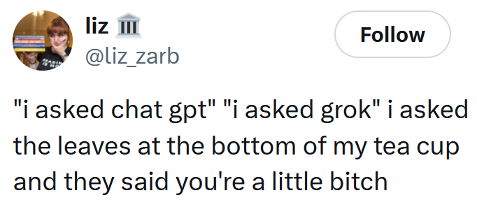 Tweet reading ''i asked chat gpt' 'i asked grok' i asked the leaves at the bottom of my tea cup and they said you're a little bitch'