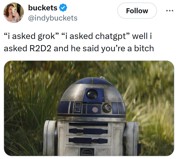 Tweet reading '“i asked grok” “i asked chatgpt” well i asked R2D2 and he said you’re a bitch'