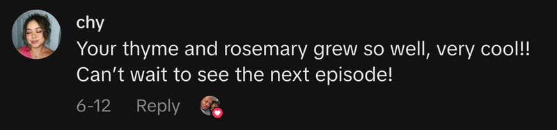 “Your thyme and rosemary grew so well, very cool!! Can’t wait to see the next episode!”