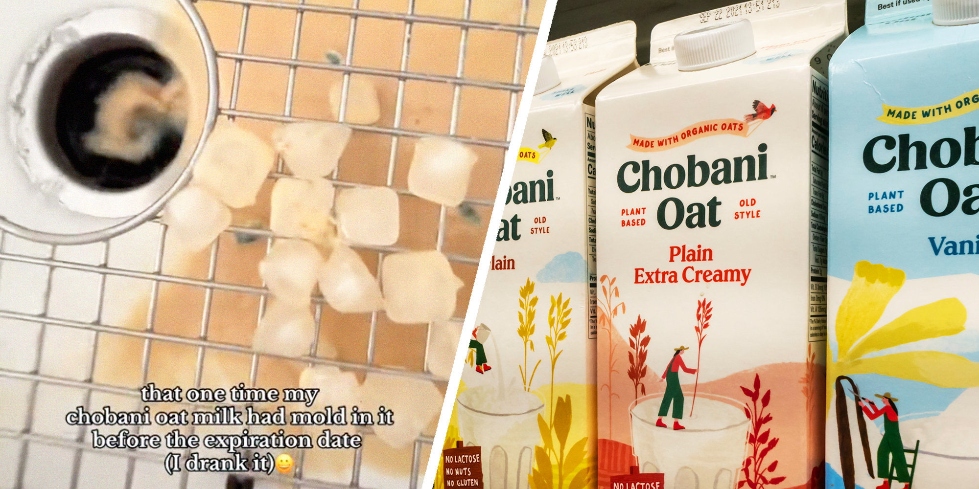 2 panel image of a tiktok about mold in oat milk and Chobani Oatmilk