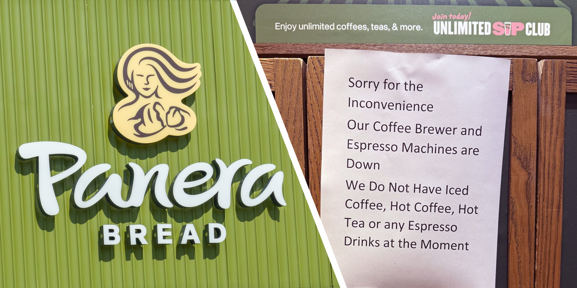 panera unlimited sip club