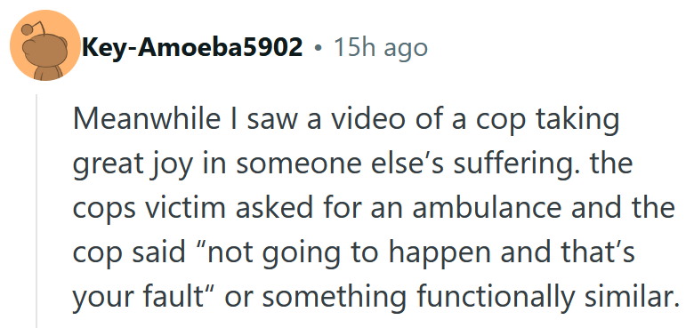 Reddit comment reading 'Meanwhile I saw a video of a cop taking great joy in someone else’s suffering. the cops victim asked for an ambulance and the cop said “not going to happen and that’s your fault“ or something functionally similar.'