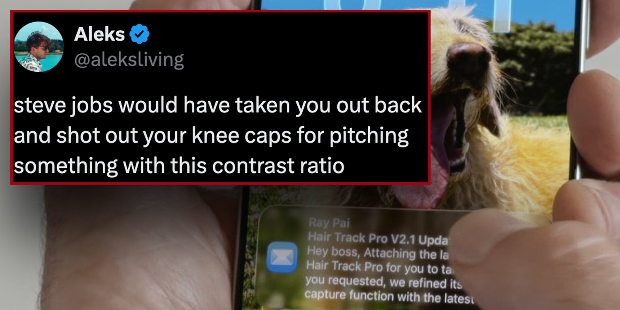 Photograph of hands holding an iPhone with the new ios26, overlaid with a caption reading: 'steve jobs would have taken you out back and shot out your knee caps for pitching something with this contrast ratio'