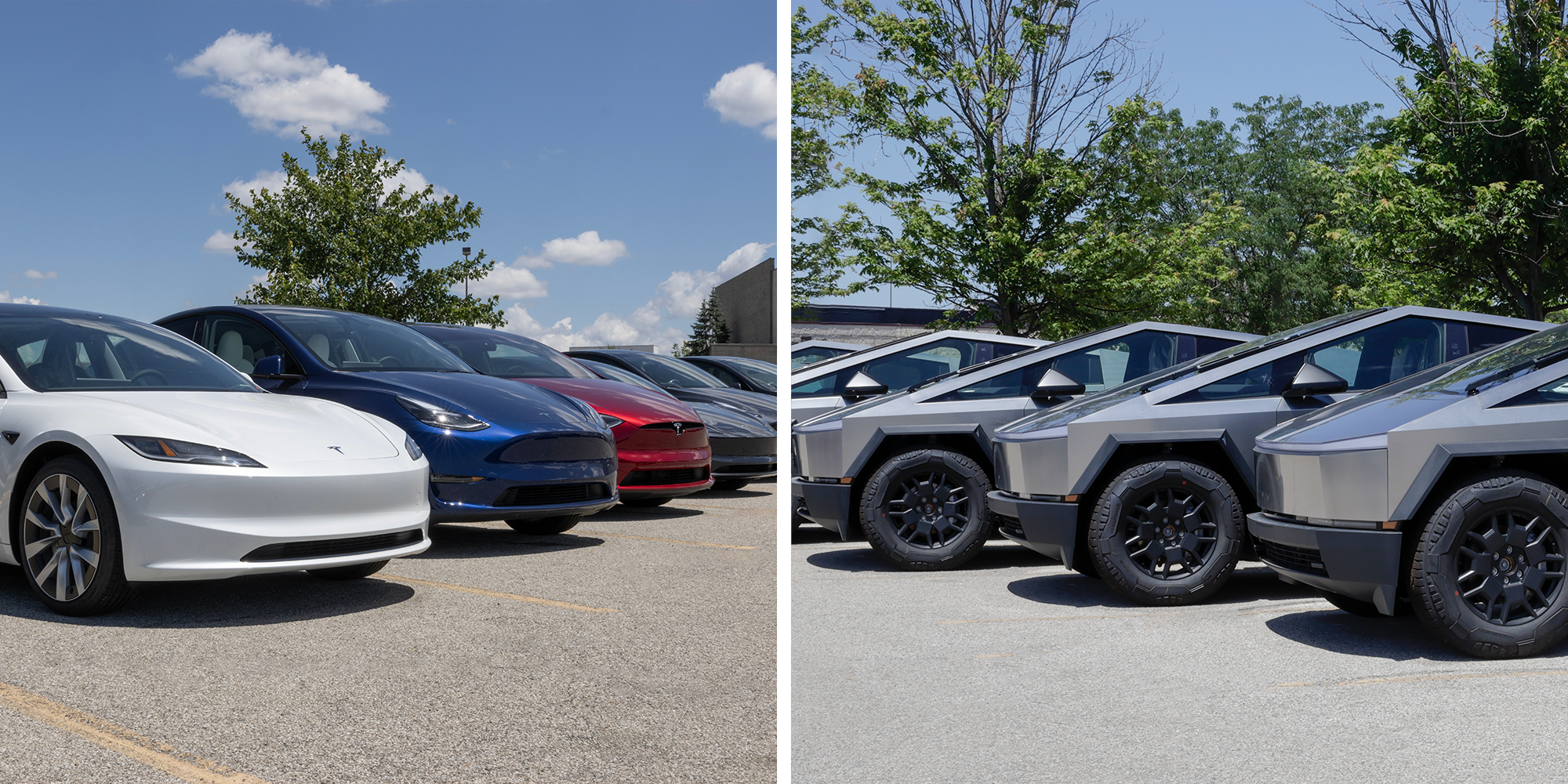 Homepage article image