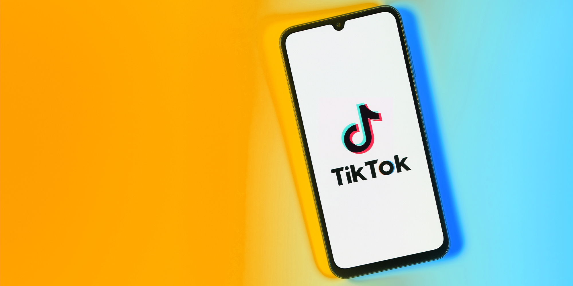 Homepage article image