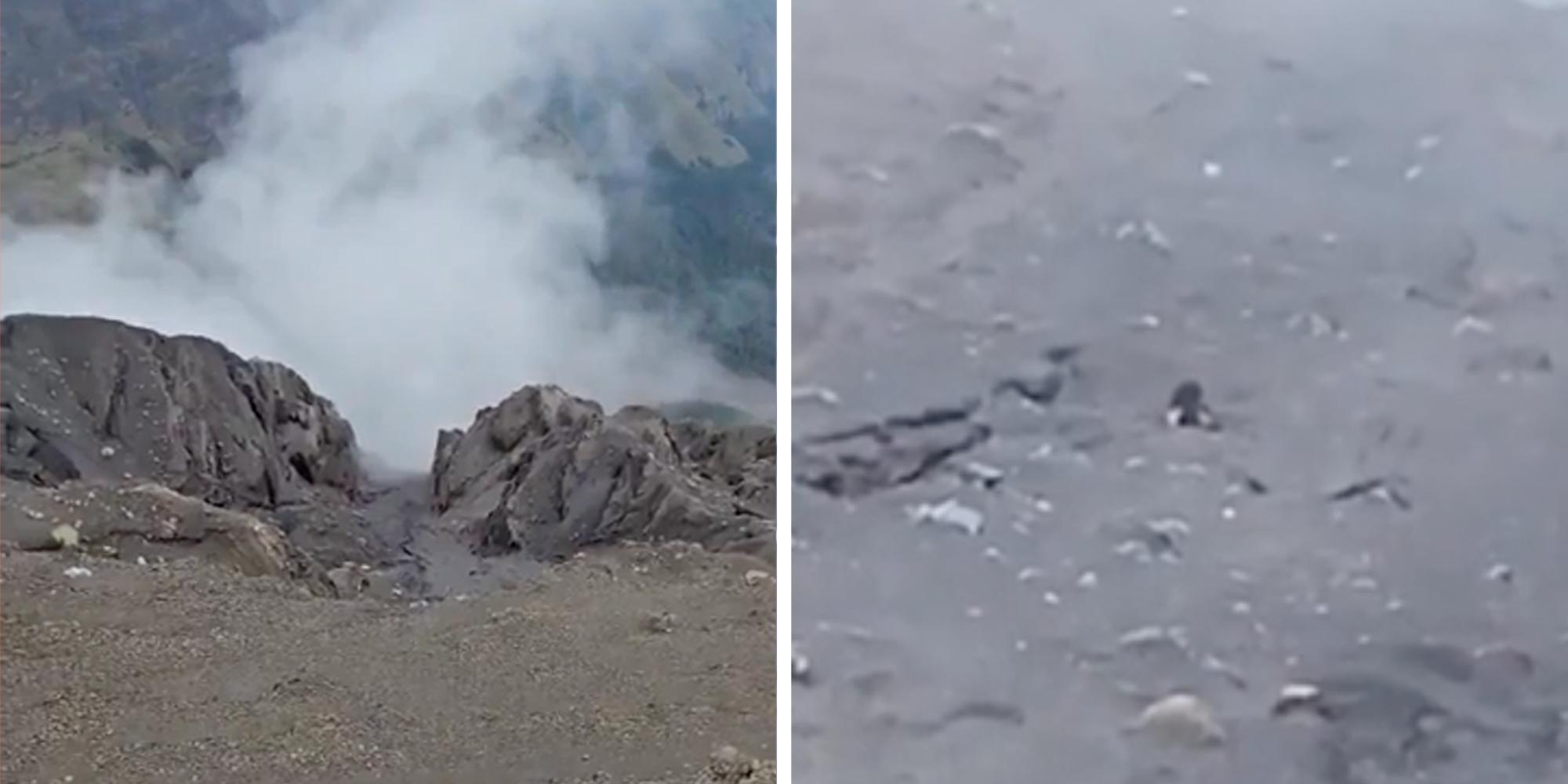 Homepage article image