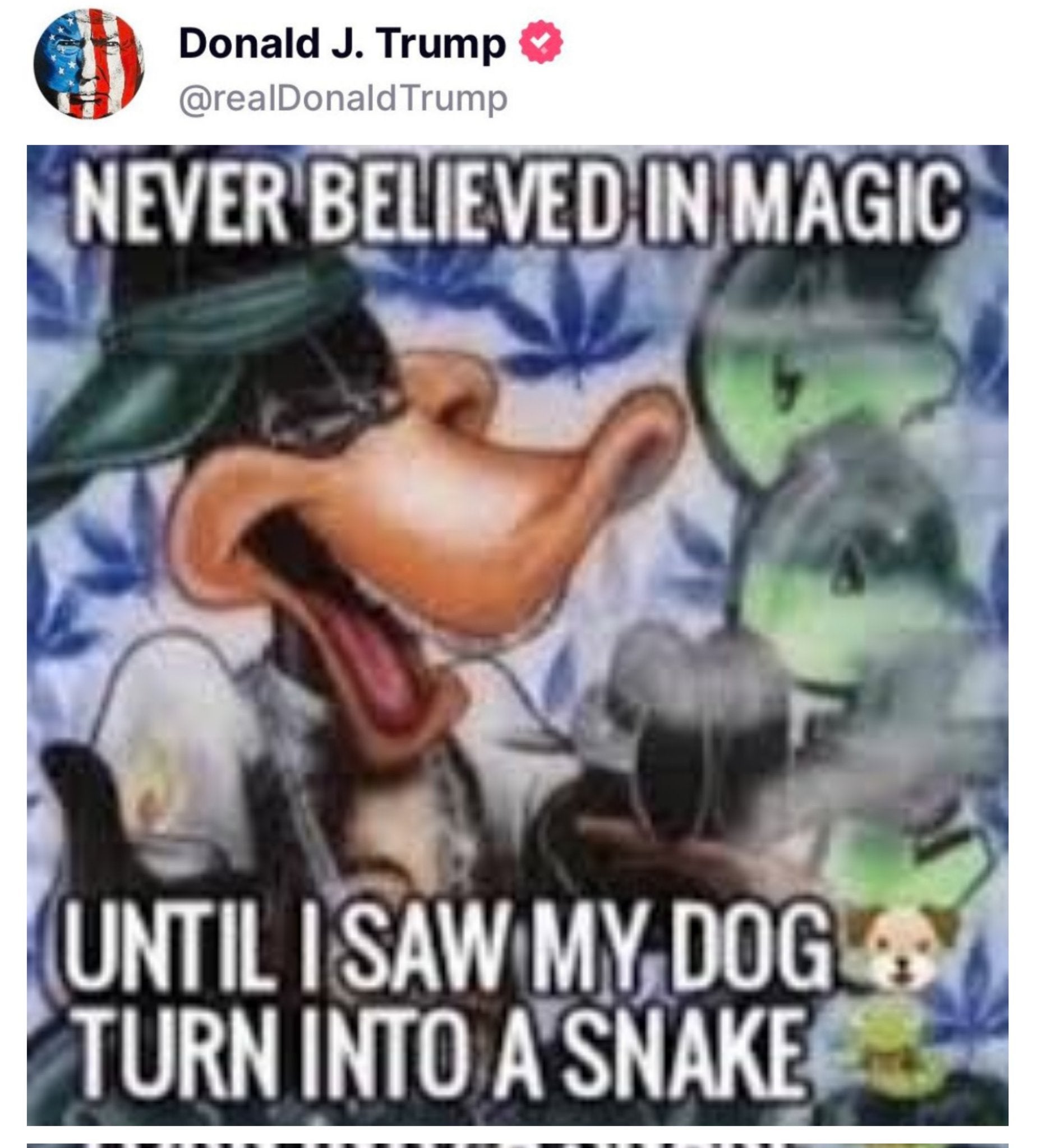 Na imagem corporal