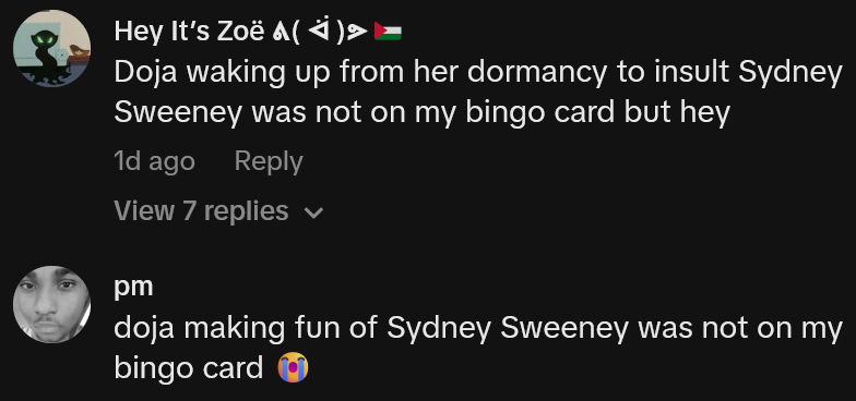 TikTok comments including one reading 'Doja waking up from her dormancy to insult Sydney Sweeney was not on my bingo card but hey'