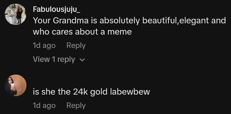 TikTok comments including one reading 'Your Grandma is absolutely beautiful, elegant and who cares about a meme'