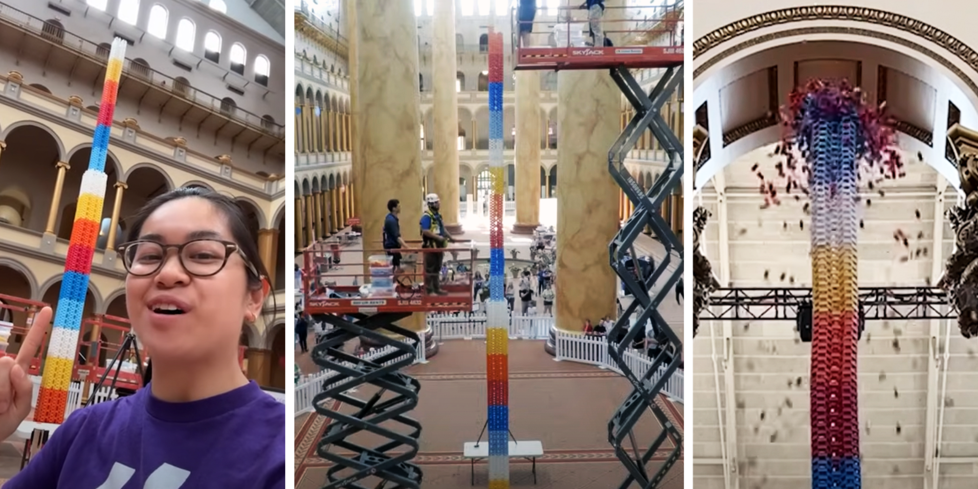 lily havesh guinness world record dominoes