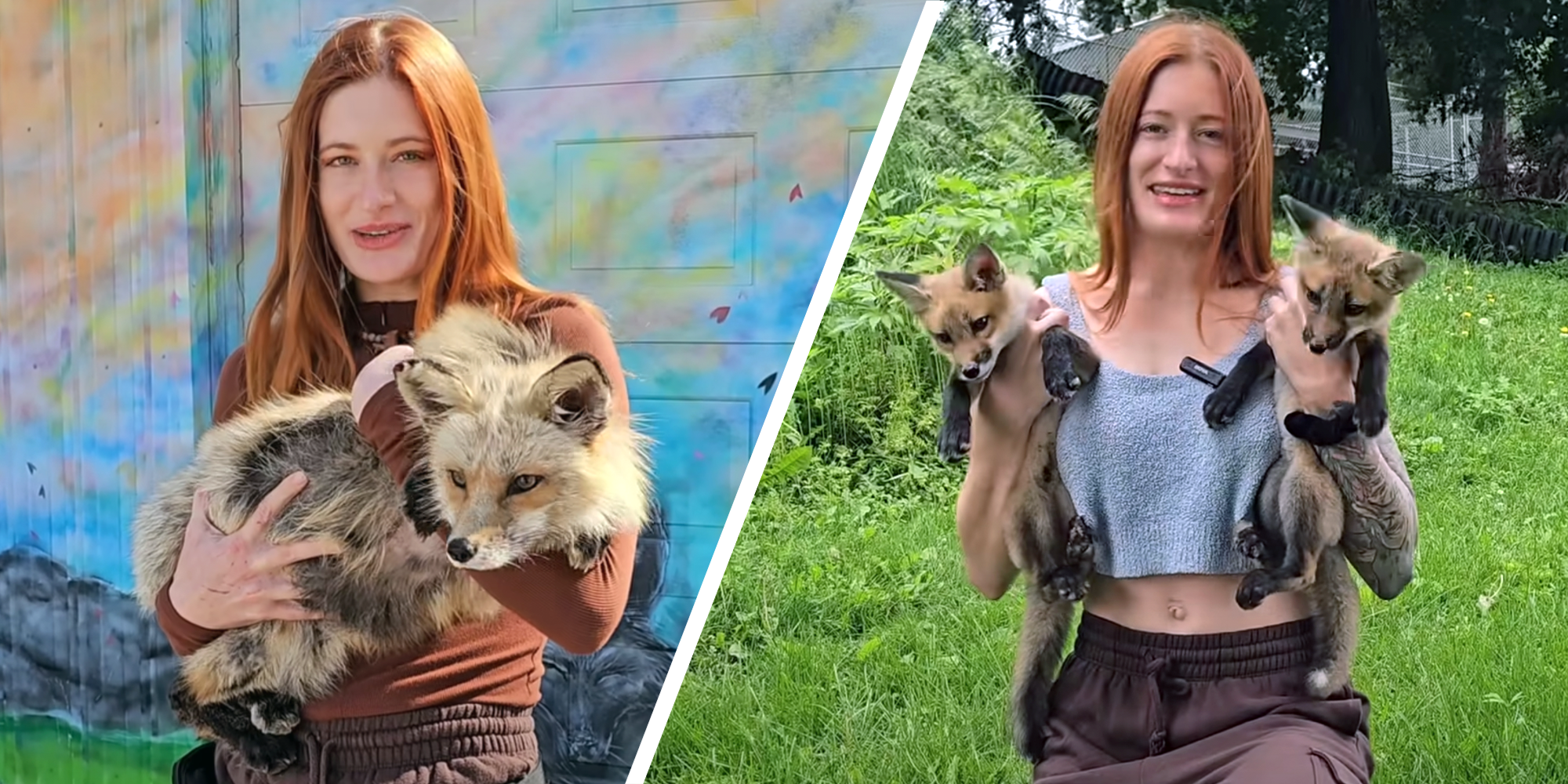 mikayla raines saveafox rescue