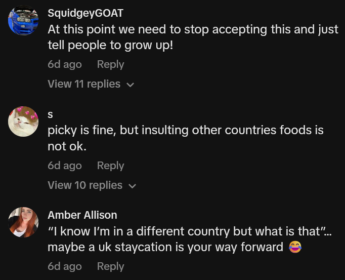TikTok comments including one reading 'picky is fine, but insulting other countries foods is not ok.'