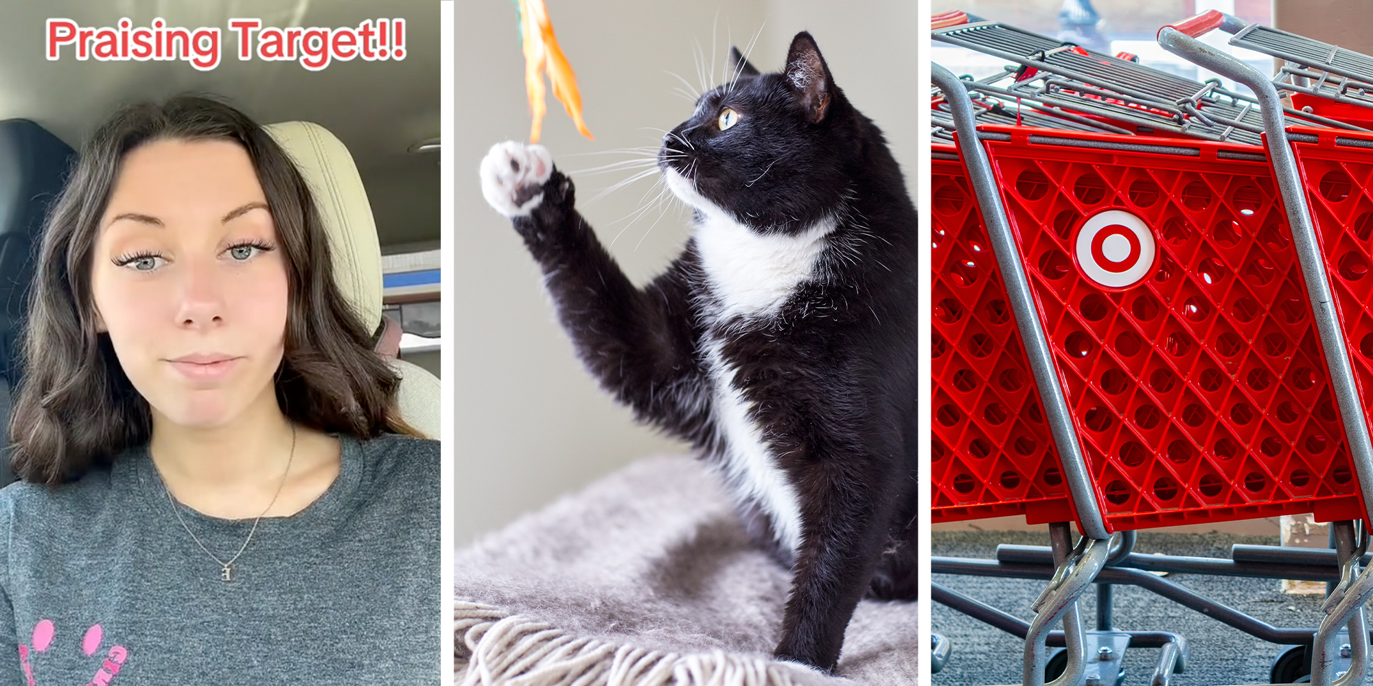 Homepage article image