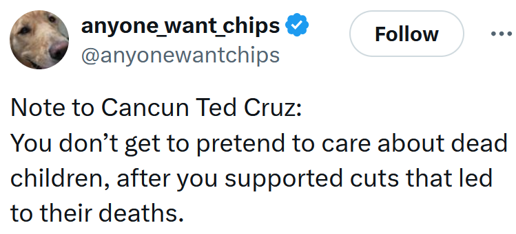 Tweet reading 'Note to Cancun Ted Cruz: You don’t get to pretend to care about dead children, after you supported cuts that led to their deaths.'