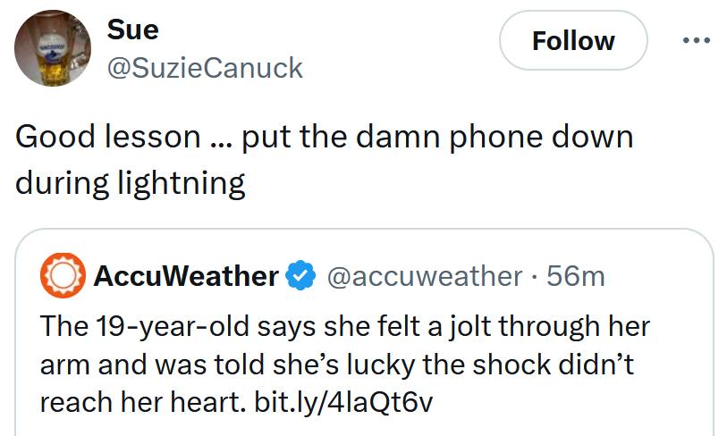 Tweet reading 'Good lesson ... put the damn phone down during lightning'