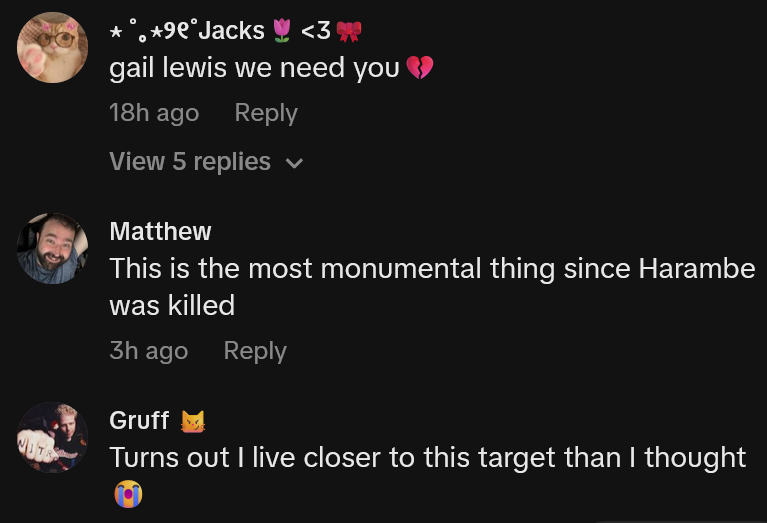 TikTok comments including one reading 'This is the most monumental thing since Harambe was killed'