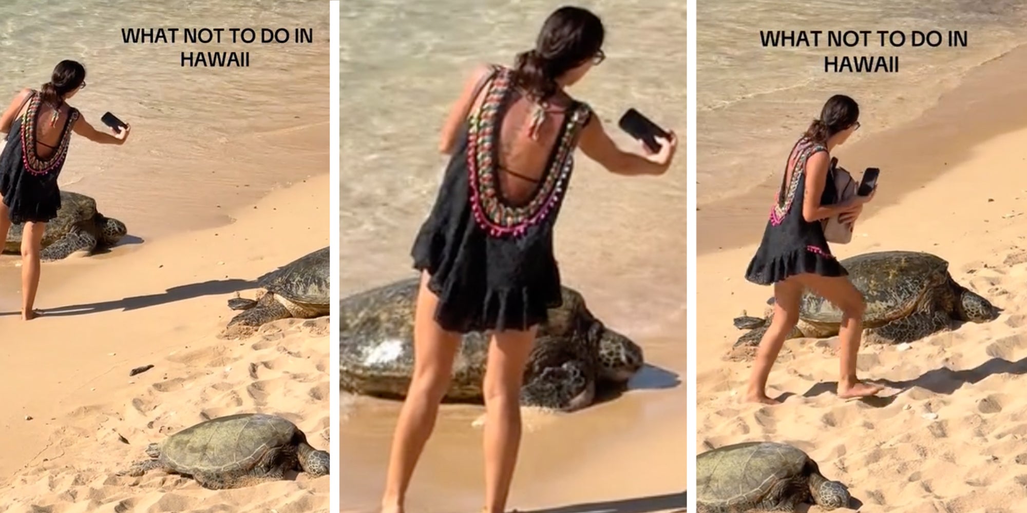 3 panel: Woman taking photos of sea turtles under caption reading "What not to do in Hawaii"