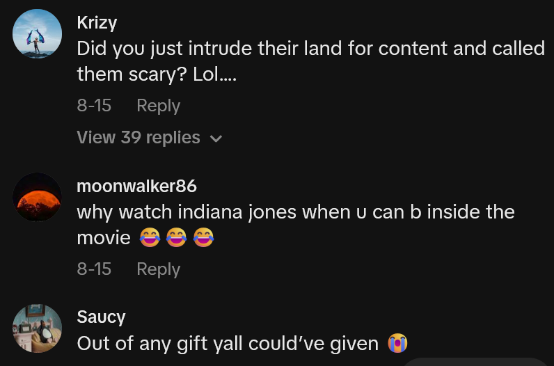 TikTok comments including one reading 'Did you just intrude their land for content and called them scary? Lol….'