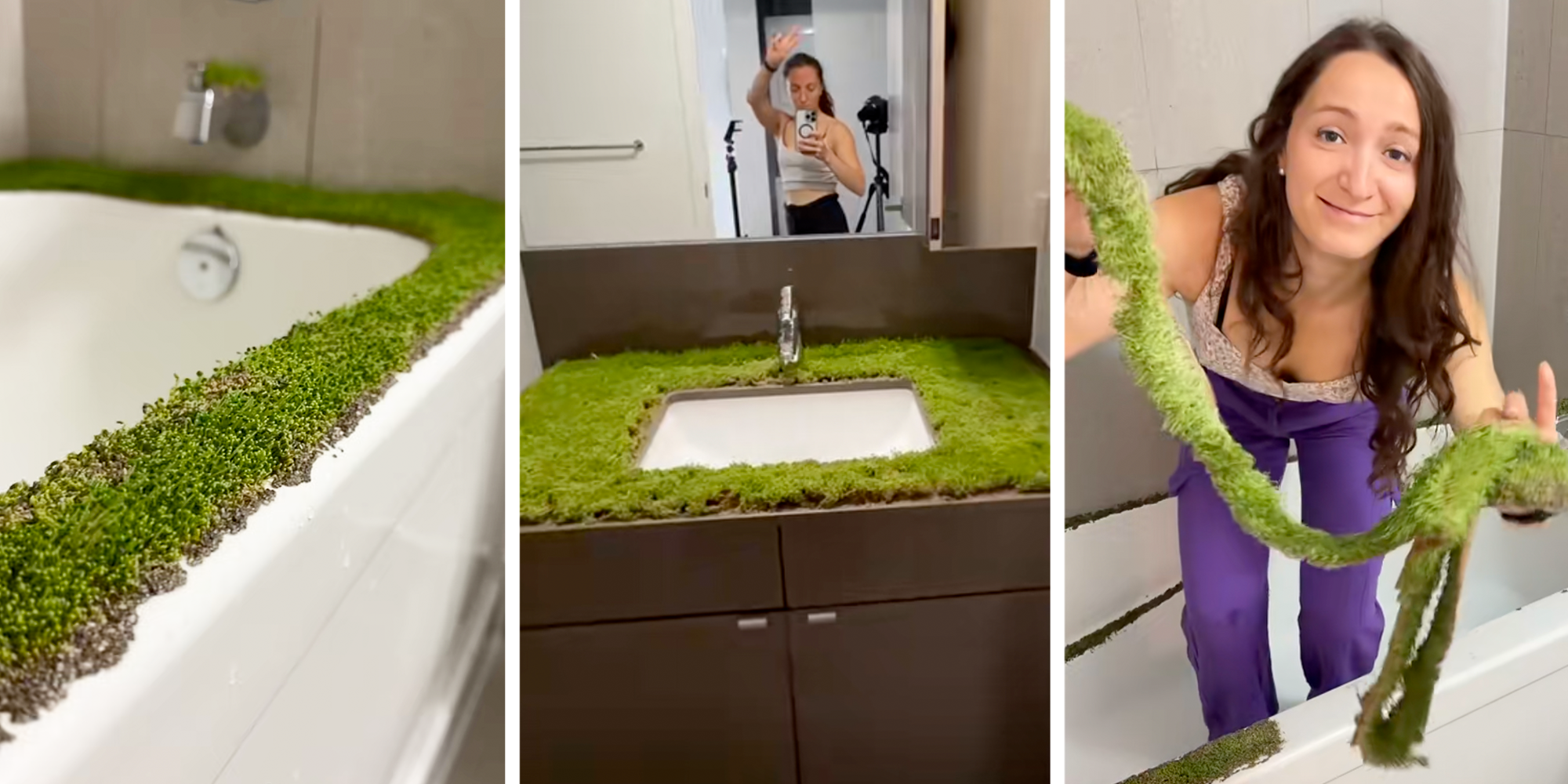 chia seed spa bathroom tiktok diy