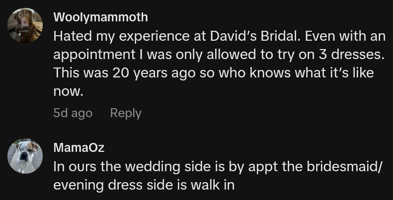 TikTok comments including one reading 'Hated my experience at David’s Bridal. Even with an appointment I was only allowed to try on 3 dresses. This was 20 years ago so who knows what it’s like now.'