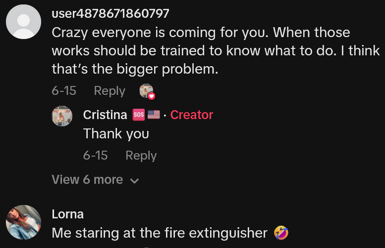 TikTok comments including one reading 'Crazy everyone is coming for you. When those works should be trained to know what to do. I think that’s the bigger problem.'