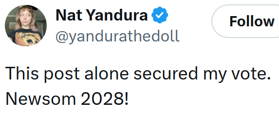Tweet reading 'This post alone secured my vote. Newsom 2028!'