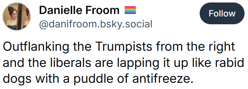 Bluesky post reading 'Outflanking the Trumpists from the right and the liberals are lapping it up like rabid dogs with a puddle of antifreeze.'