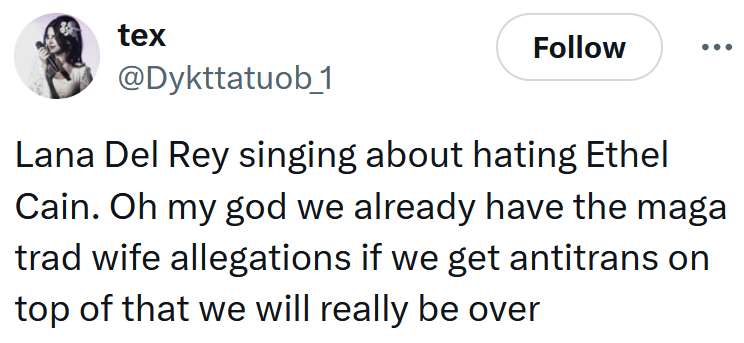 Tweet reading 'Lana Del Rey singing about hating Ethel Cain. Oh my god we already have the maga trad wife allegations if we get antitrans on top of that we will really be over'