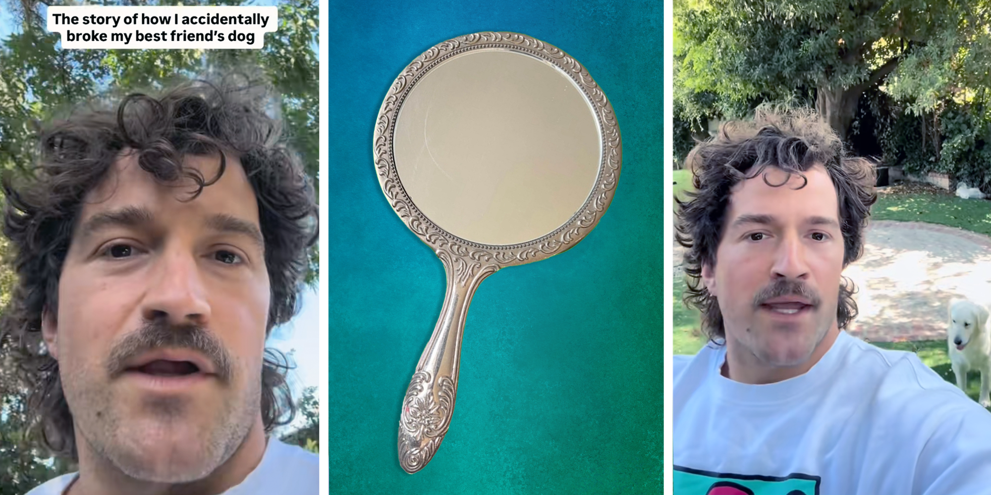 man breaks dog by playing with mirror reflection