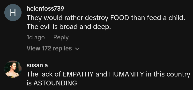 TikTok comments including on reading 'They would rather destroy FOOD than feed a child. The evil is broad and deep.'
