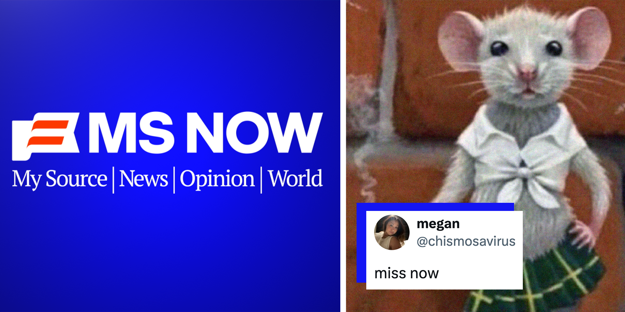 miss now msnbc internet reacts ms now