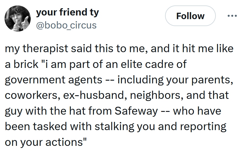 Tweet reading 'my therapist said this to me, and it hit me like a brick 'i am part of an elite cadre of government agents -- including your parents, coworkers, ex-husband, neighbors, and that guy with the hat from Safeway -- who have been tasked with stalking you and reporting on your actions''