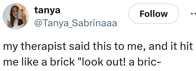 Tweet reading 'my therapist said this to me, and it hit me like a brick 'look out! a bric-'